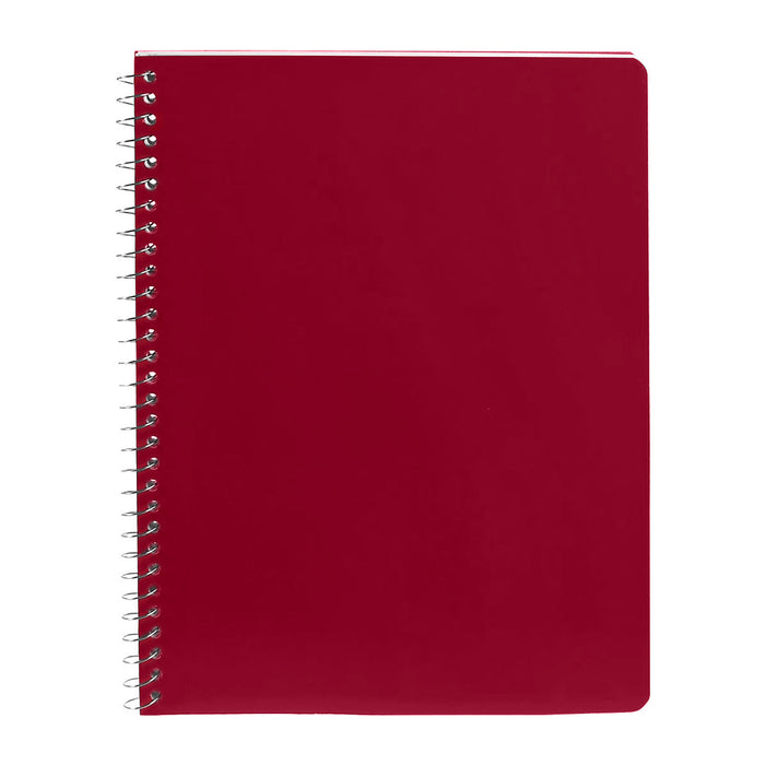 PROFESSIONAL NOTEBOOK