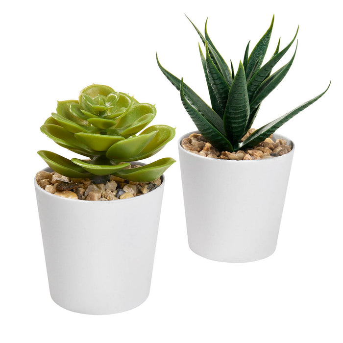 ALDER PLANT SET