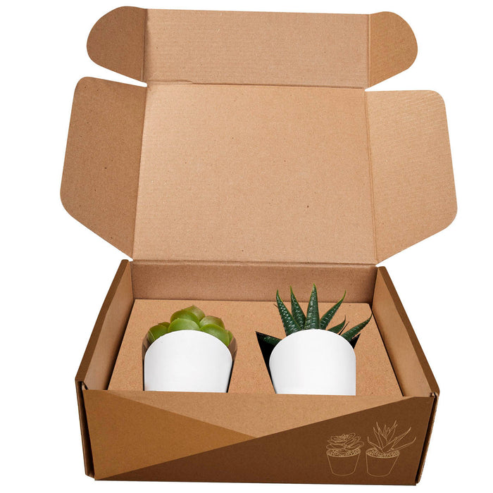 ALDER PLANT SET