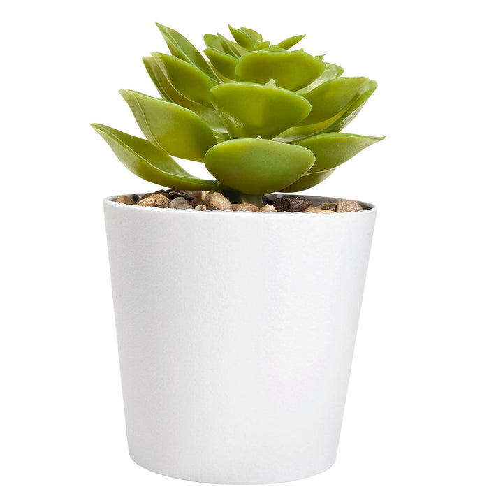 ALDER PLANT SET