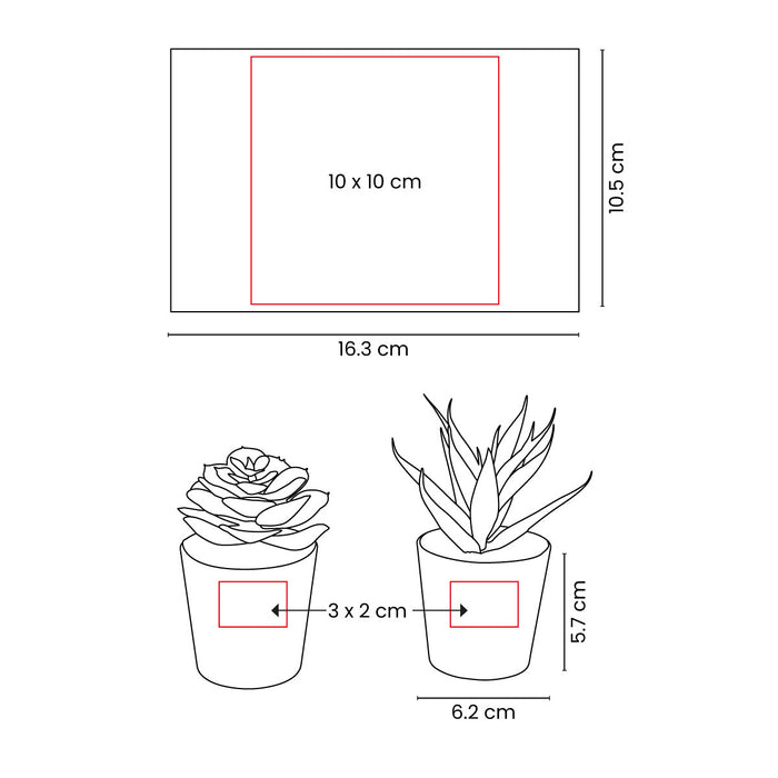 ALDER PLANT SET
