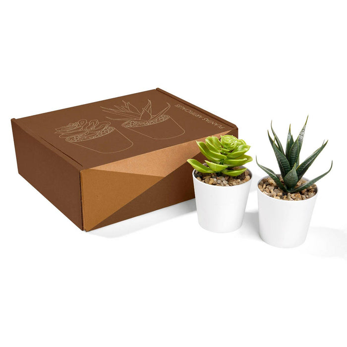 ALDER PLANT SET