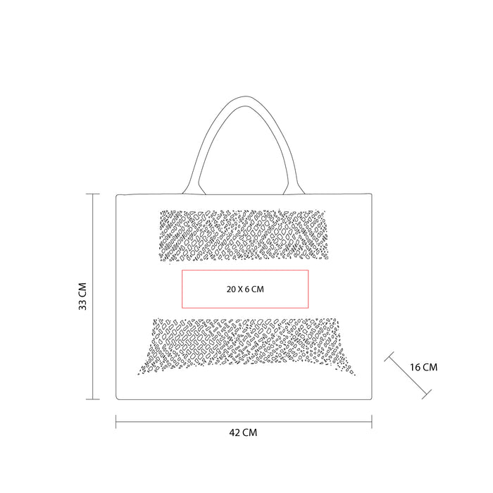 ANTONELA BAG