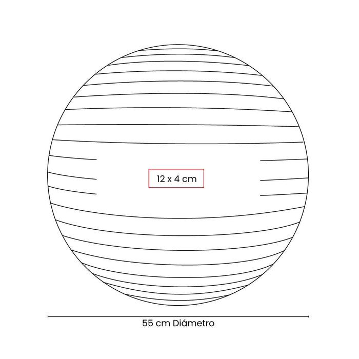 PELOTA DE PILATES WELLNESS