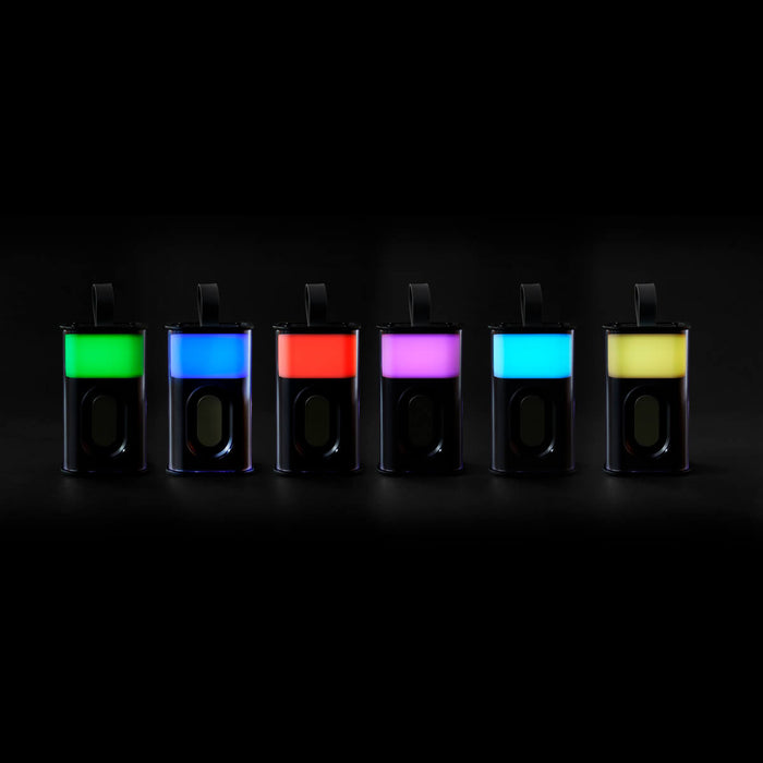 CIRCUIT HORN
