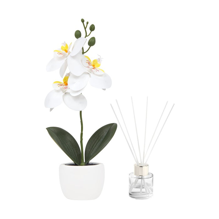 SET DECORATIVO FIORA BLANCO