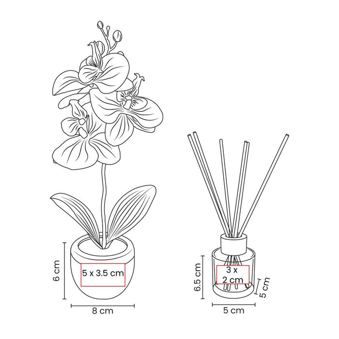 SET DECORATIVO FIORA vector