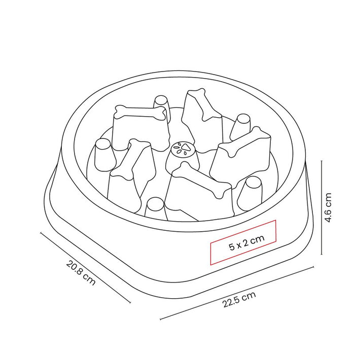 PLATO OSSIS vector